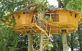 Insolite dans les arbres Les Ormes, Epiniac